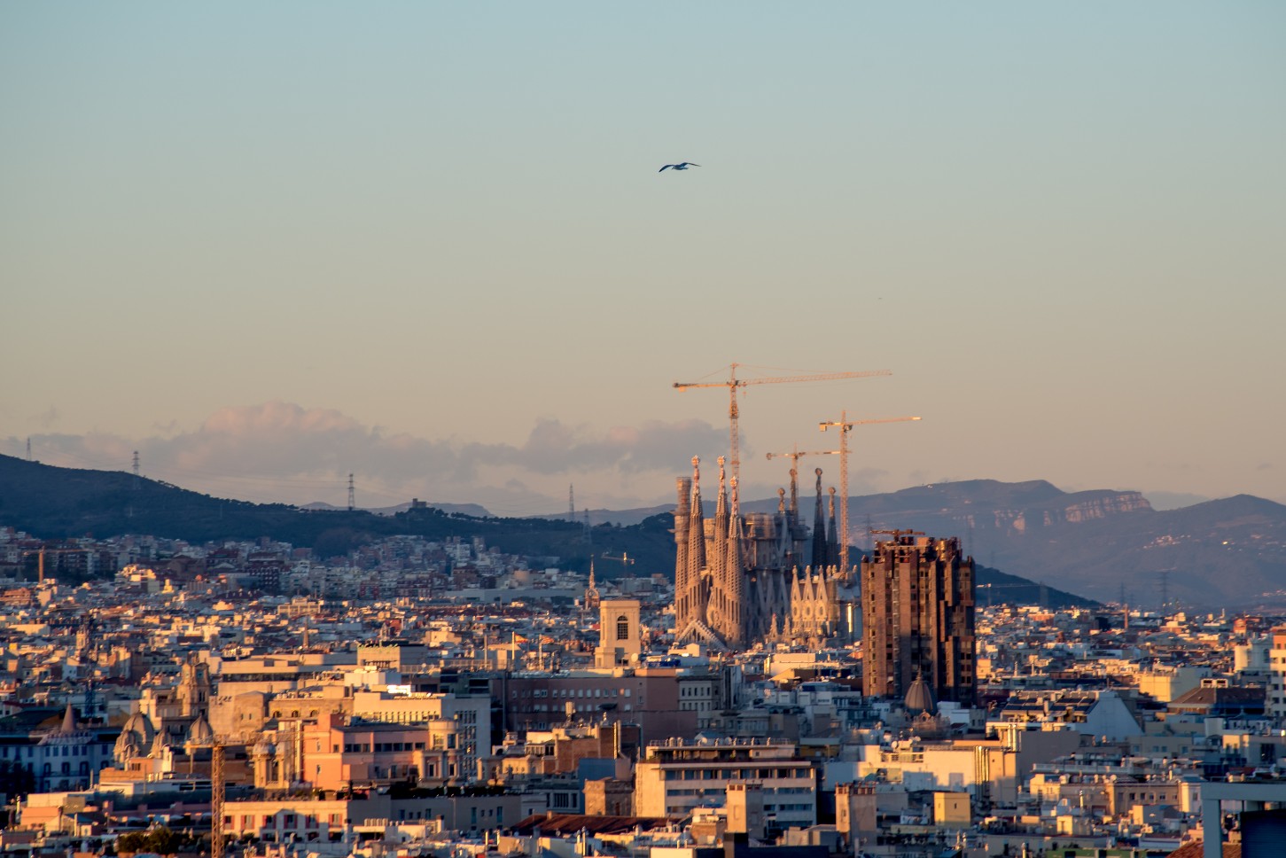 sagrada familia, barcelona: skip the line. do it