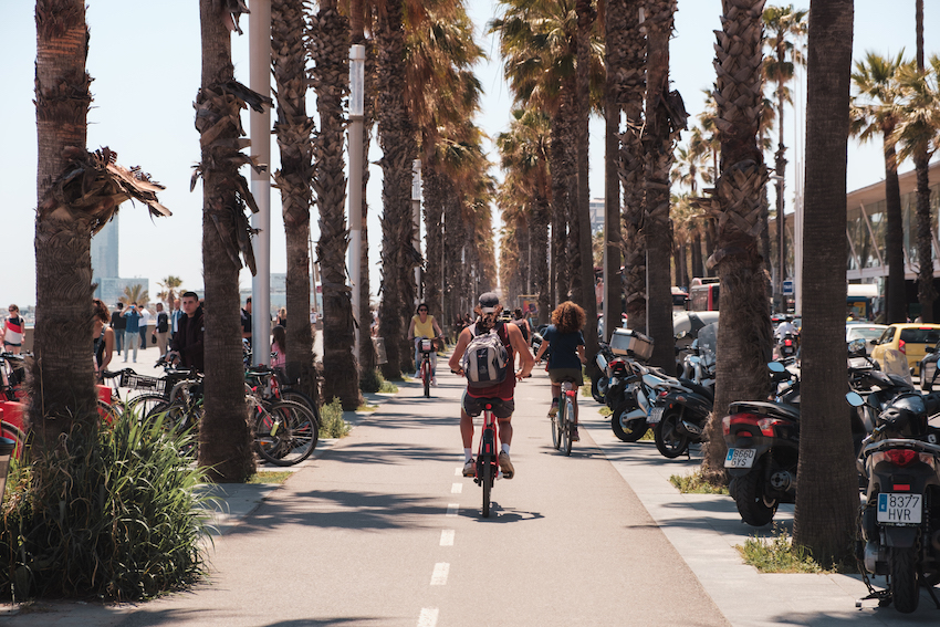 Velo Porte Plante Gifi - Gamboahinestrosa